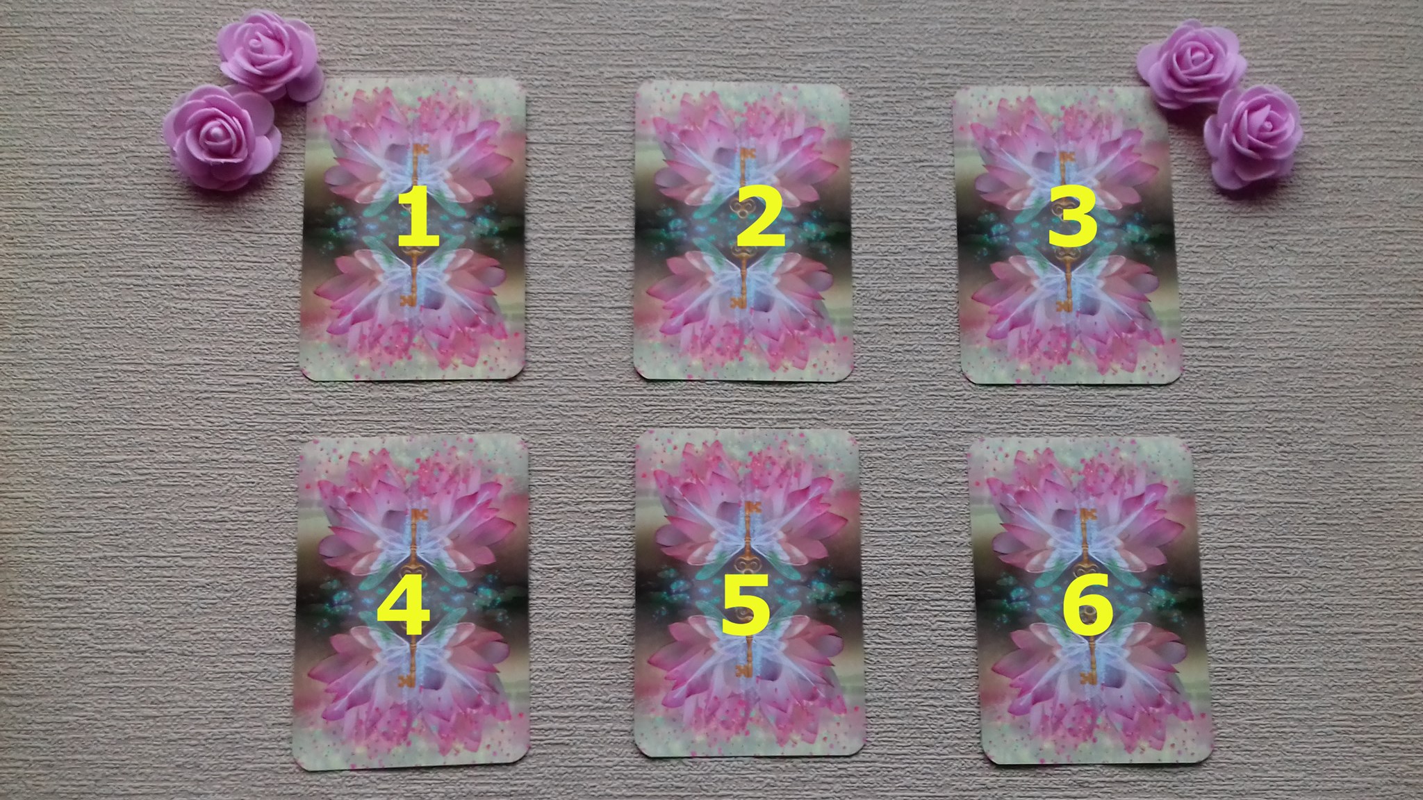 150203605_1649548851912802_7695188152856632774_n