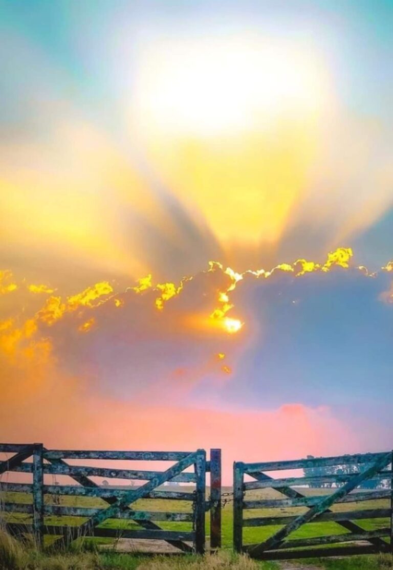 196315096_10226912113563505_5146134265719013827_n