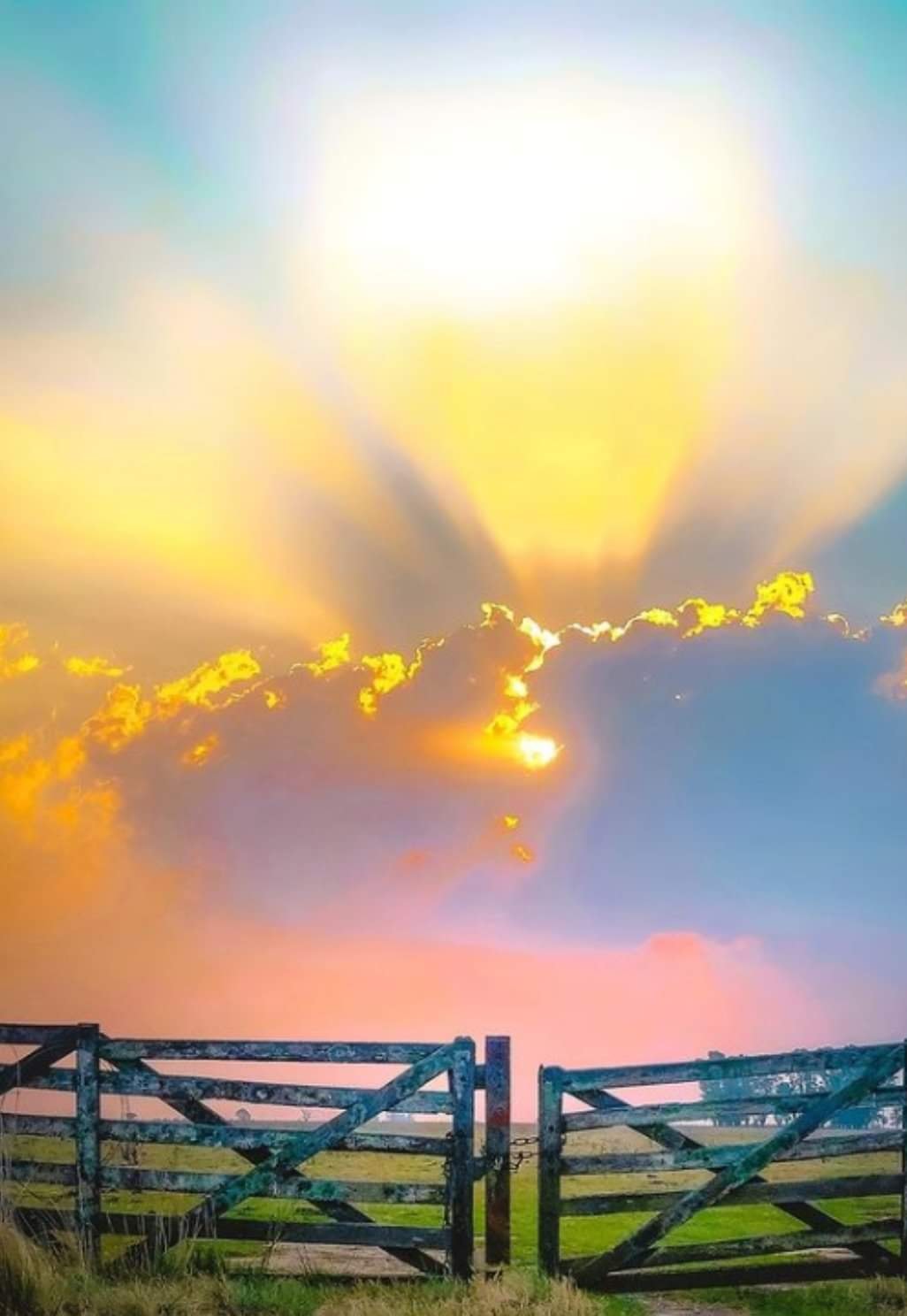 196315096_10226912113563505_5146134265719013827_n