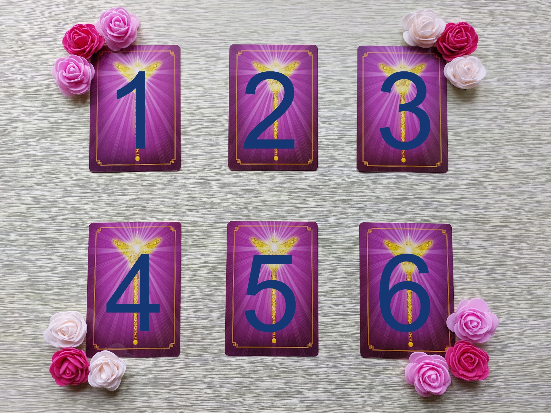 240997513_1809130432621309_8472506736213224065_n