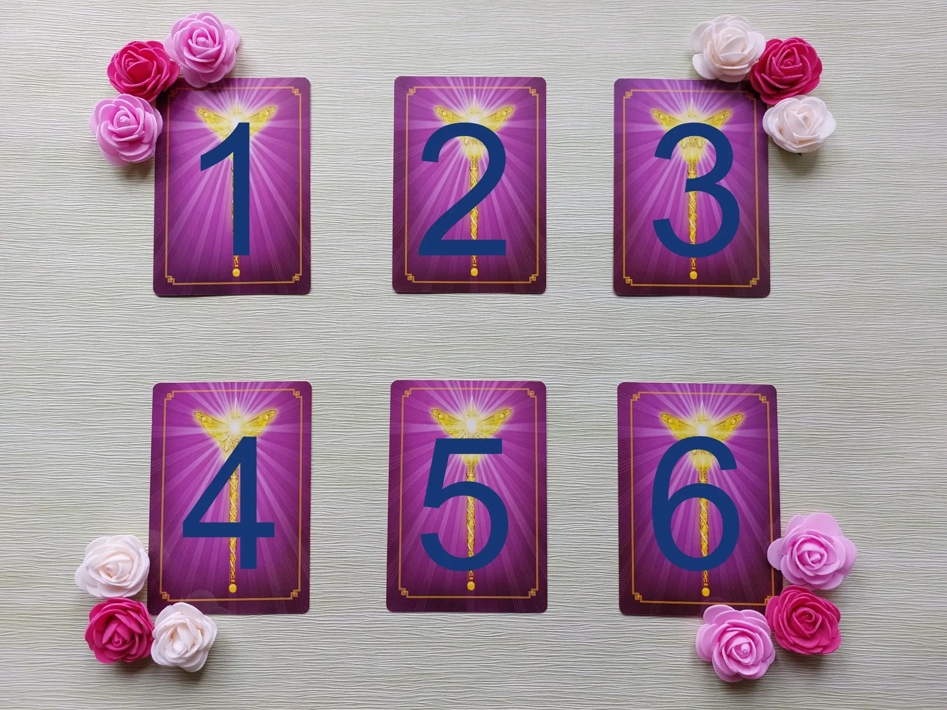 240997513_1809130432621309_8472506736213224065_n