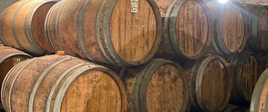 339998424_1191220748202201_4050790538318850396_n