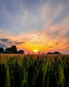 355129500_708254527978263_4769414946707569780_n