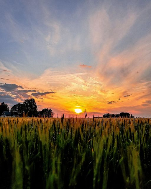 355129500_708254527978263_4769414946707569780_n