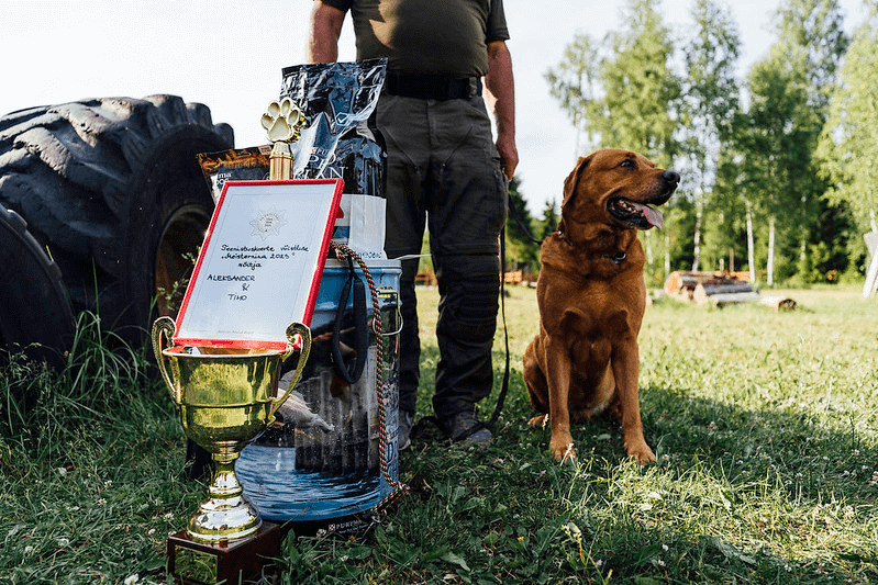 52989082899-7463e36828-c-3-1-