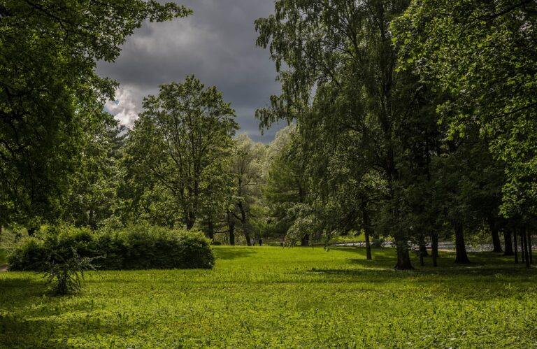 before-the-storm-2496067_1280