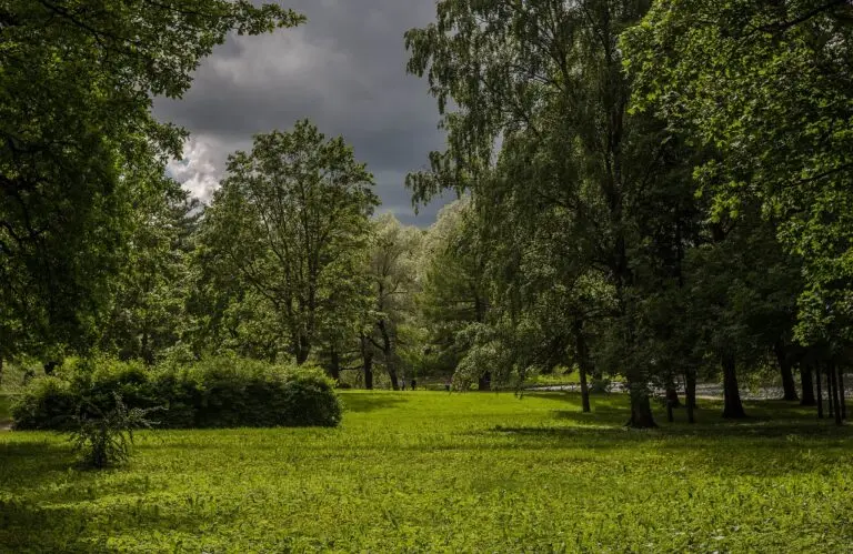 before-the-storm-2496067_1280