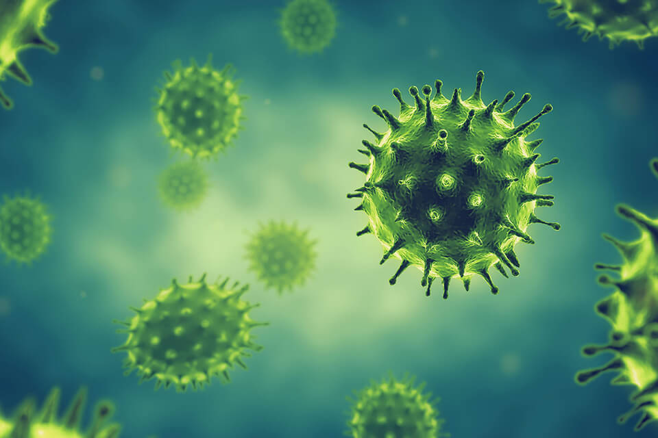 virus