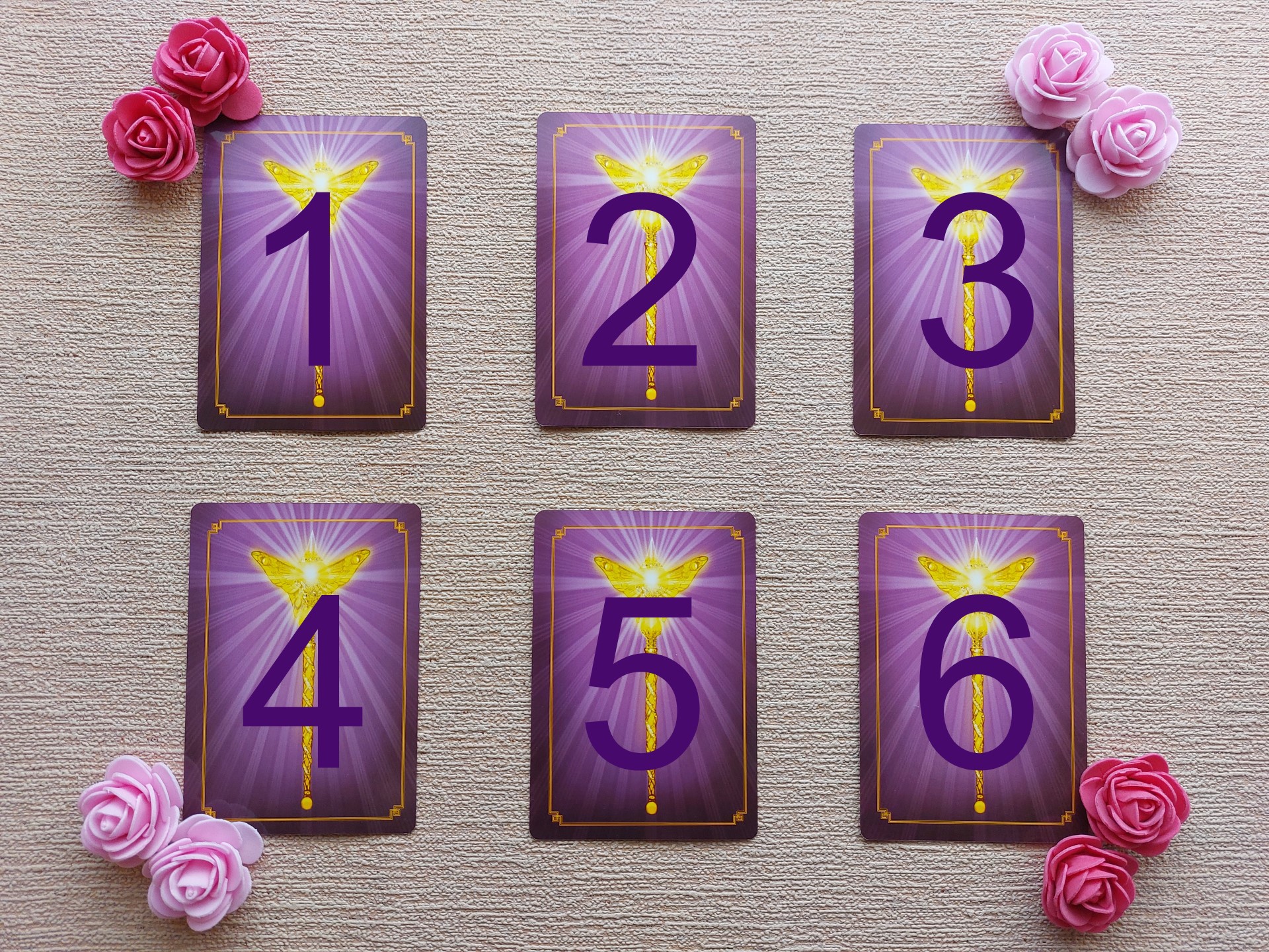 235570418_1795843700616649_3534789173965147125_n