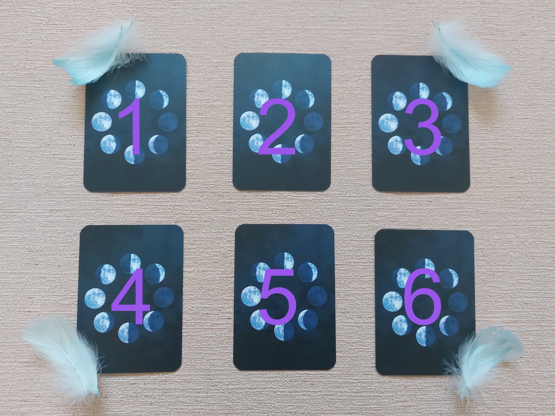 285059510_2012158758985141_7516831127158093780_n