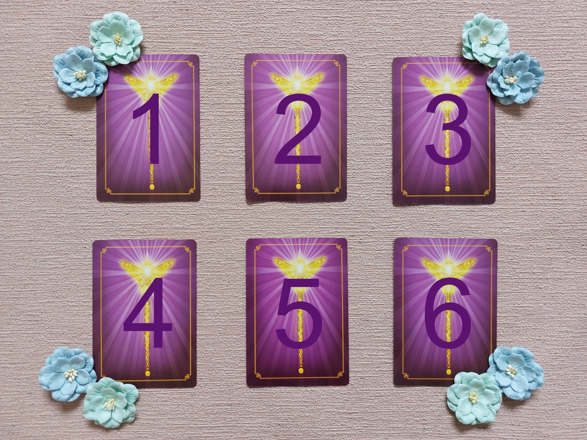 354227921_696052005865331_1256492580140078715_n