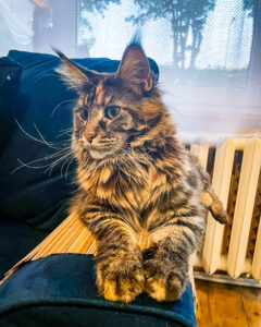 356729745_244409465061855_8022212676989342008_n