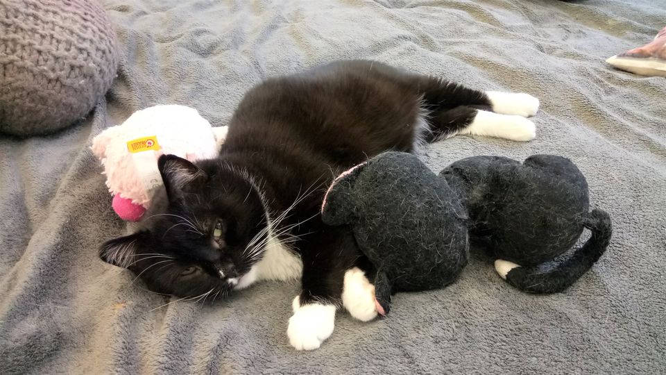 357803936_678561827649645_2268617073900554960_n