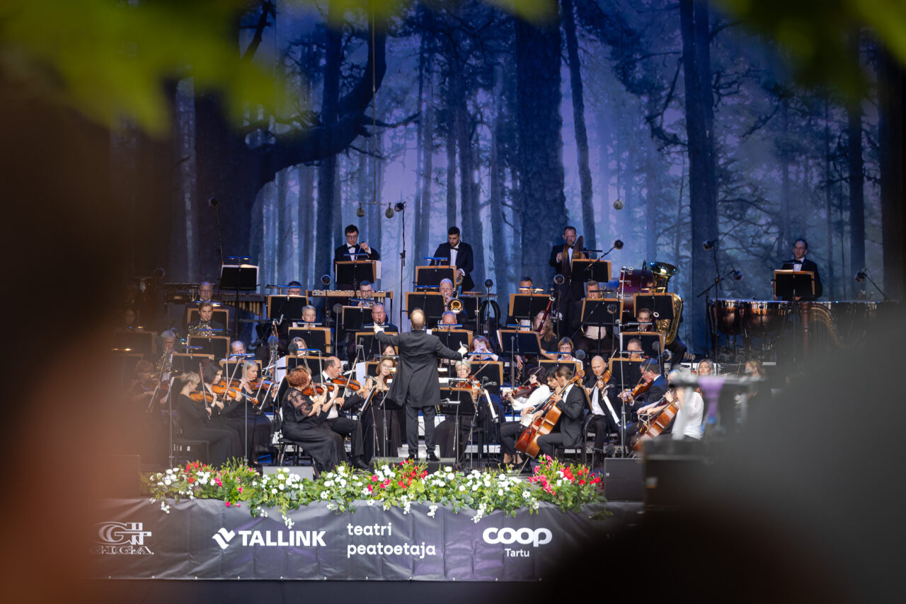 Looja: Tarmo Haud  Autoriõigus: Tarmo Haud