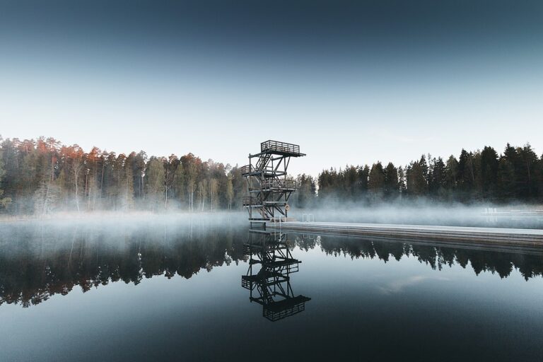 Vanamõisa_järv