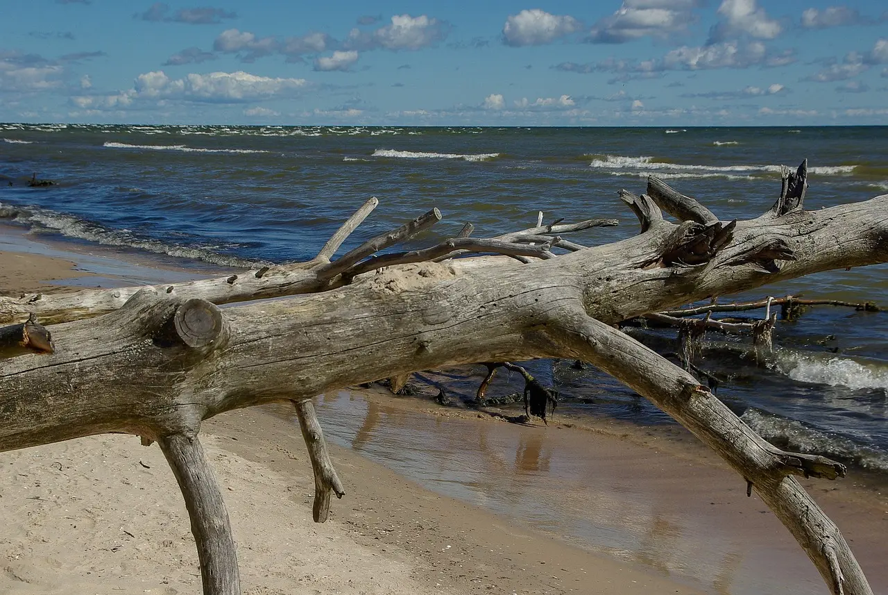 baltic-sea-g2a6d5f79c_1280