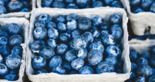 blueberries gb005aa1ed 1280