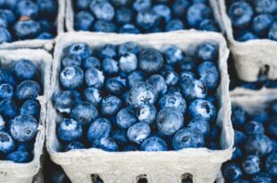 blueberries gb005aa1ed 1280