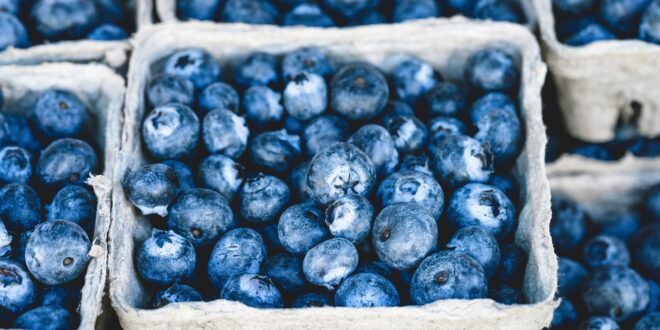 blueberries gb005aa1ed 1280