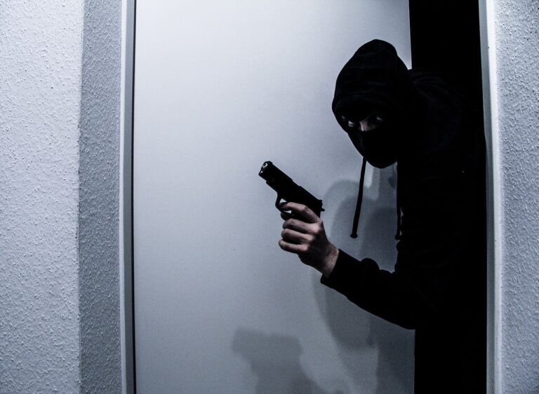 burglar-gc7a871e60_1280