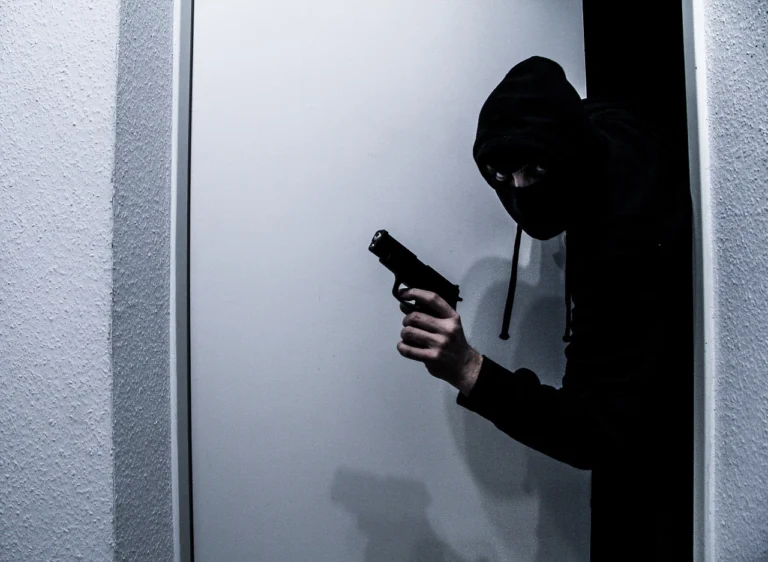 burglar-gc7a871e60_1280