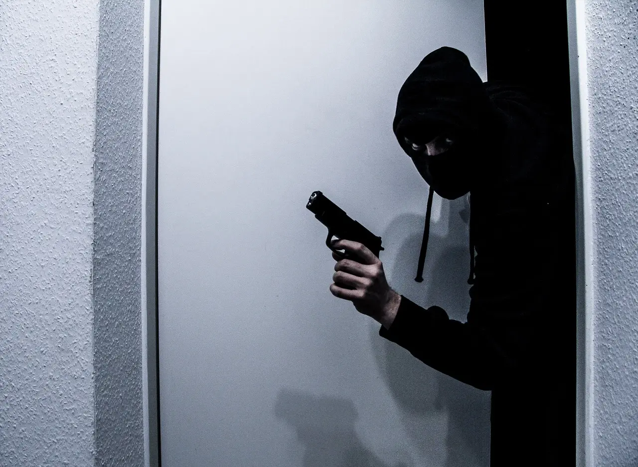 burglar-gc7a871e60_1280