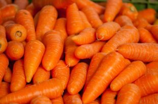 carrots g89c99880d 1280