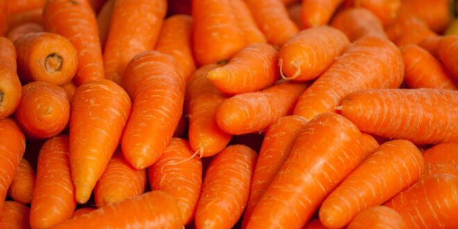 carrots g89c99880d 1280