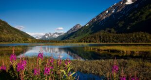 chugach national forest g9b9850b04 1280