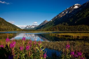 chugach national forest g9b9850b04 1280