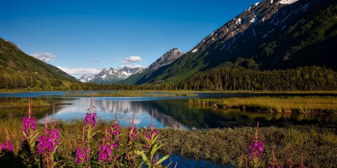 chugach national forest g9b9850b04 1280