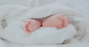 fe ngo bvx3G7RkOts unsplash