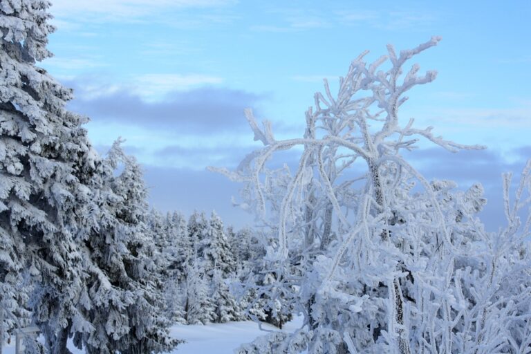fichtelberg-gf024dfcf8_1280
