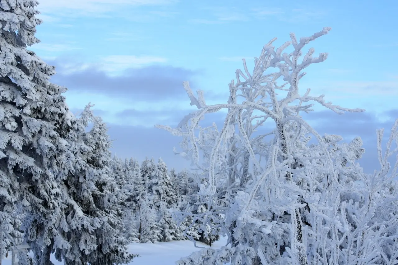 fichtelberg-gf024dfcf8_1280