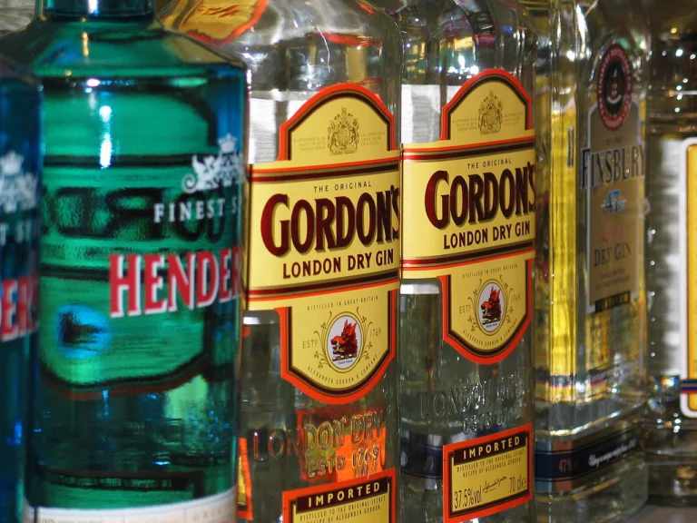 gin-gb389acf68_1280