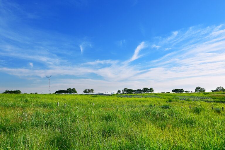 grassland-g1718fa69c_1280
