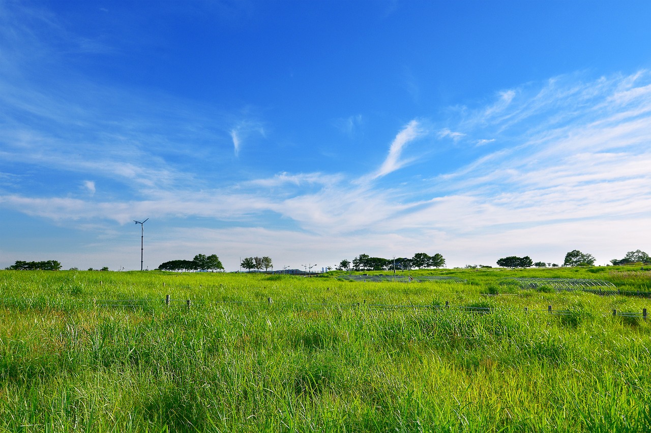 grassland-g1718fa69c_1280
