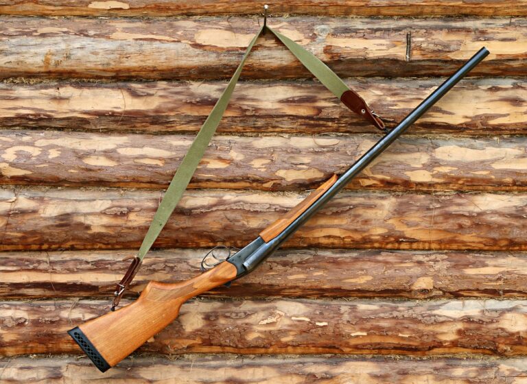 gun-g37968cc44_1280