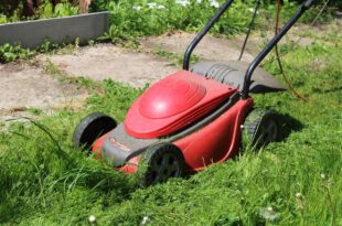 lawn mower g61a819226 1280