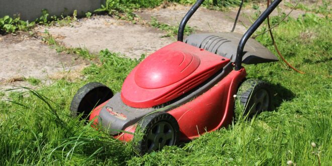 lawn mower g61a819226 1280