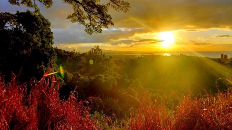 Päivittäiset varoitukset