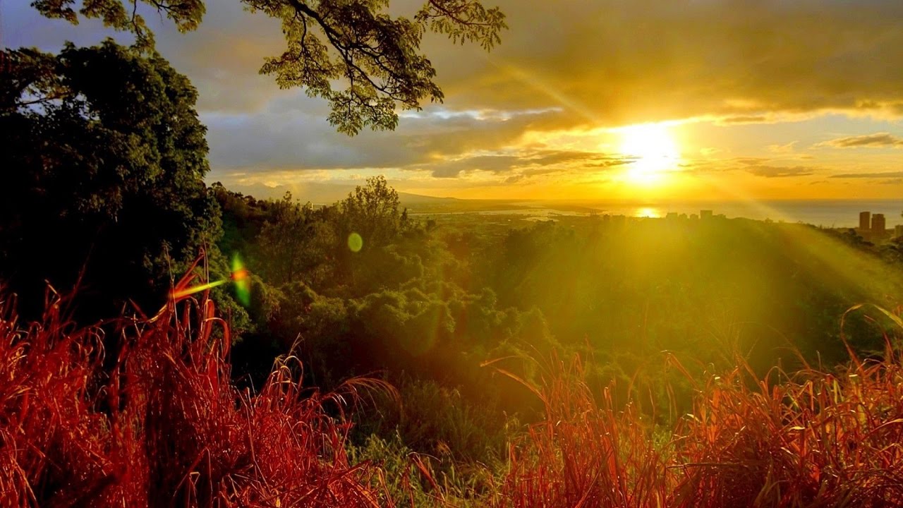 Päivittäiset varoitukset