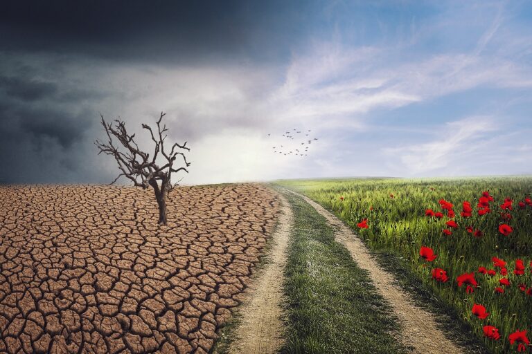 pxclimateaction-gc9c2c8de7_1280