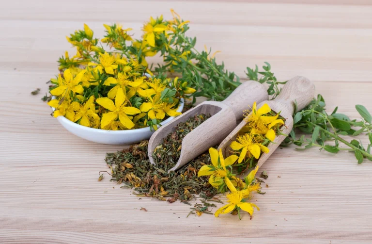 saint-johns-wort-ga8b6a8201_1280