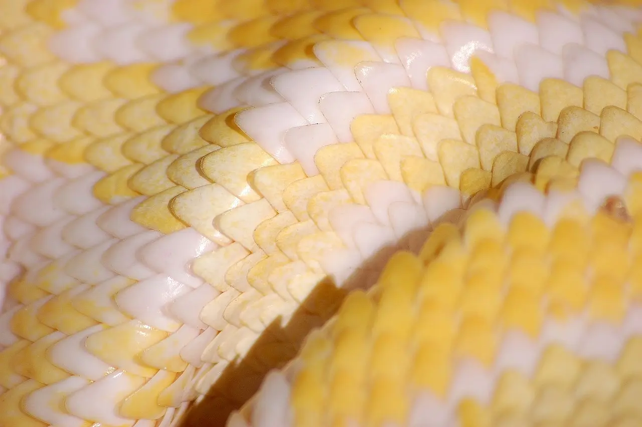 snake-g54decff58_1280