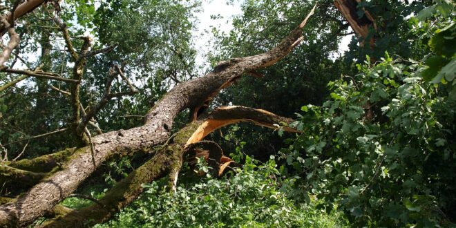 tornado damage ge7ba6e532 1280