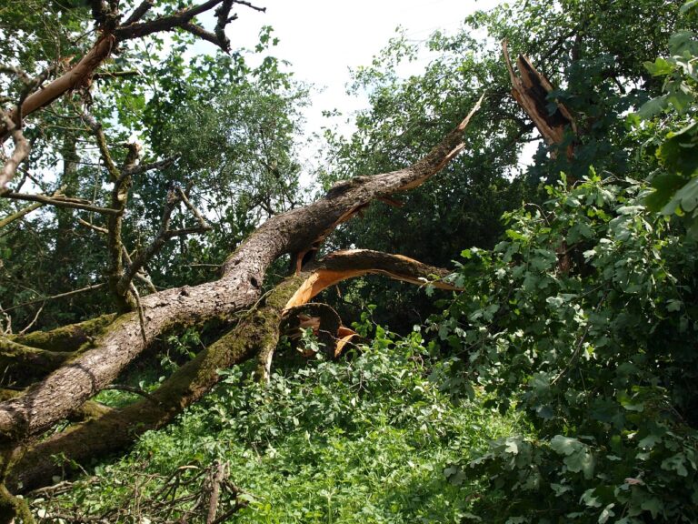 tornado-damage-ge7ba6e532_1280