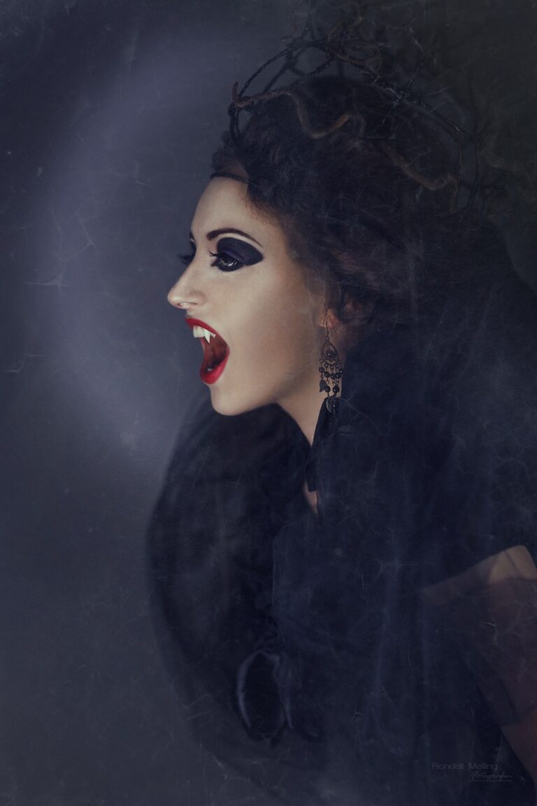 vampire-g255a822e0_1280