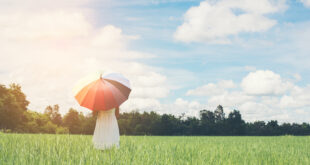 young woman with umbrella meadow