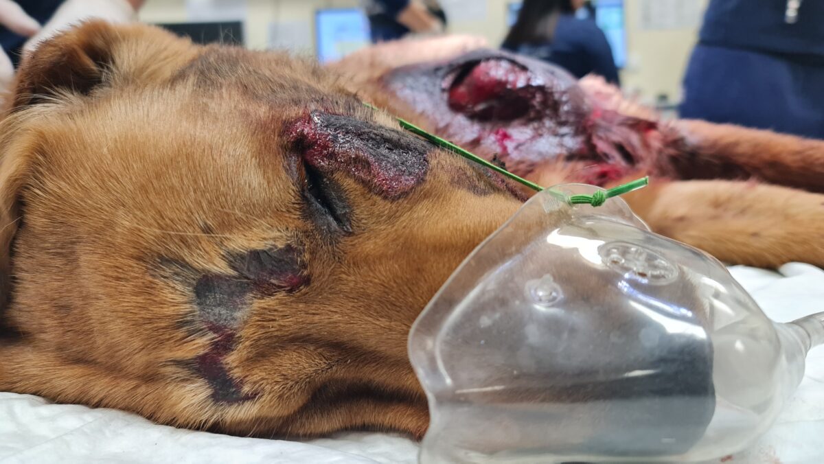 20230810_184416-1200x676